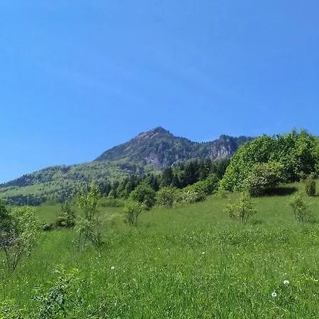 Hytte Pod Rozsutcom Biela